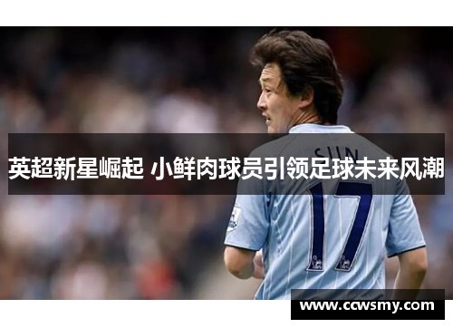 英超新星崛起 小鲜肉球员引领足球未来风潮