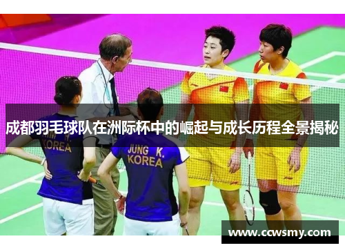 成都羽毛球队在洲际杯中的崛起与成长历程全景揭秘