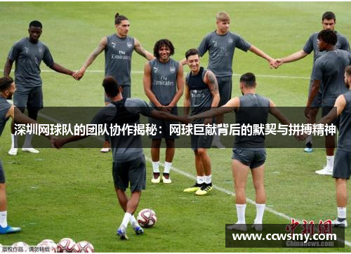 深圳网球队的团队协作揭秘：网球巨献背后的默契与拼搏精神